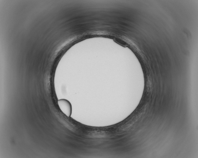 X0000112810535200910021142