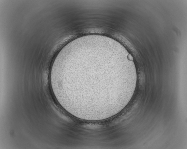 X0000112810537200910021143