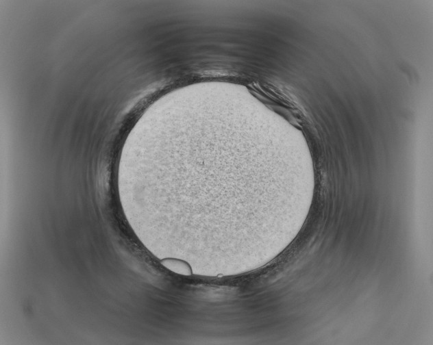 X0000112810539200910021143