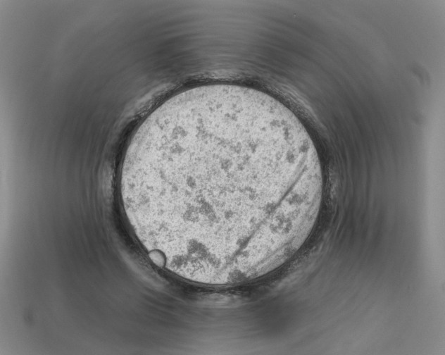 X0000112810542200910021143