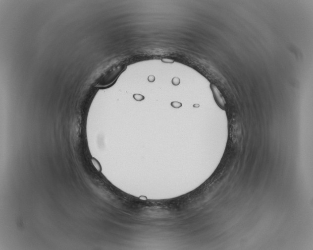 X0000112810544200910021143
