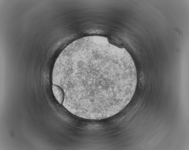 X0000112810547200910021143