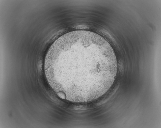 X0000112810549200910021143