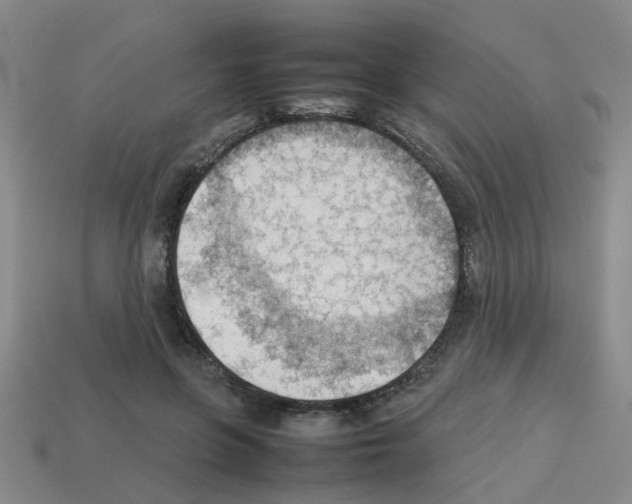 X0000112810551200910021143