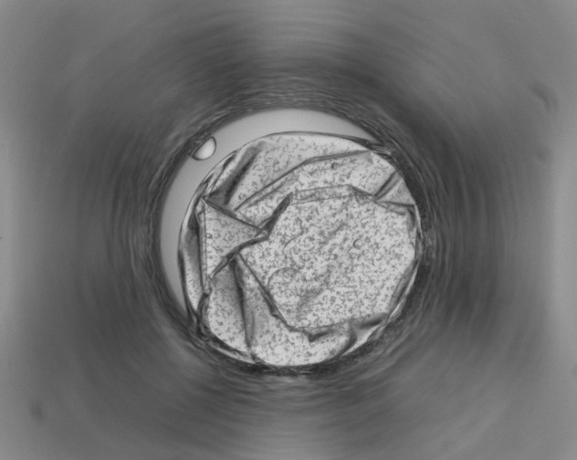 X0000112810552200910021143