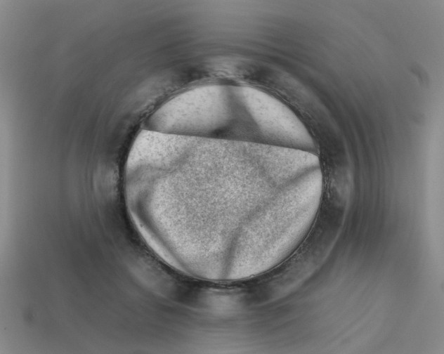 X0000112810556200910021143