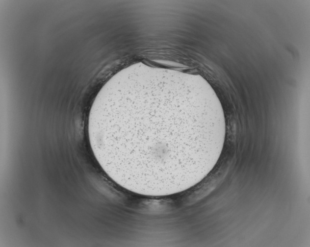 X0000112810558200910021143