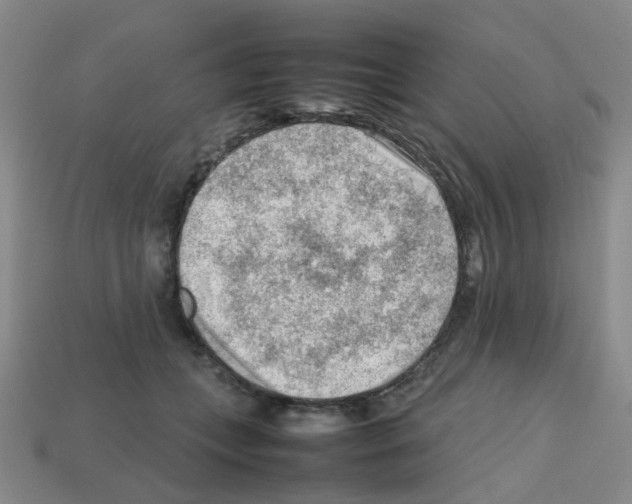 X0000112810559200910021143