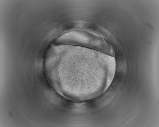 X0000112810560200910021143