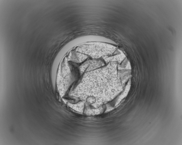 X0000112810562200910021143