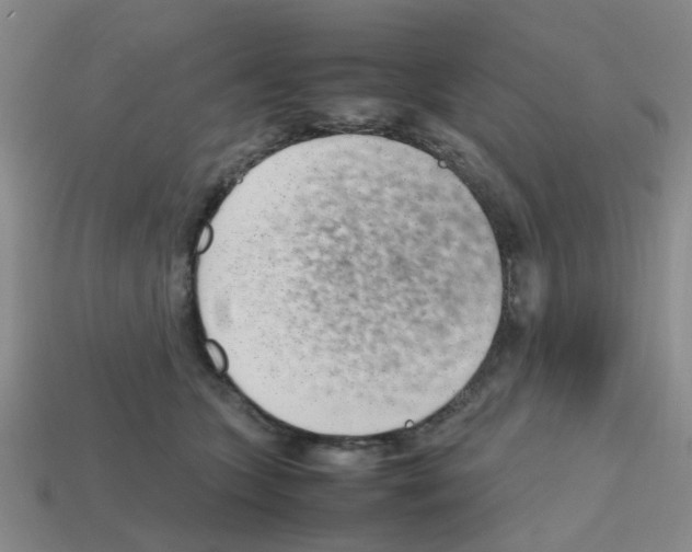 X0000112810563200910021143