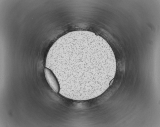 X0000112810564200910021143