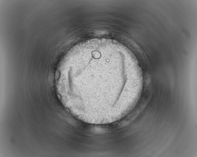 X0000112810565200910021143