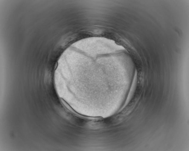 X0000112810568200910021143