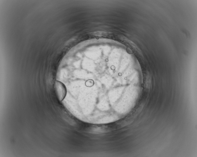 X0000112810569200910021143