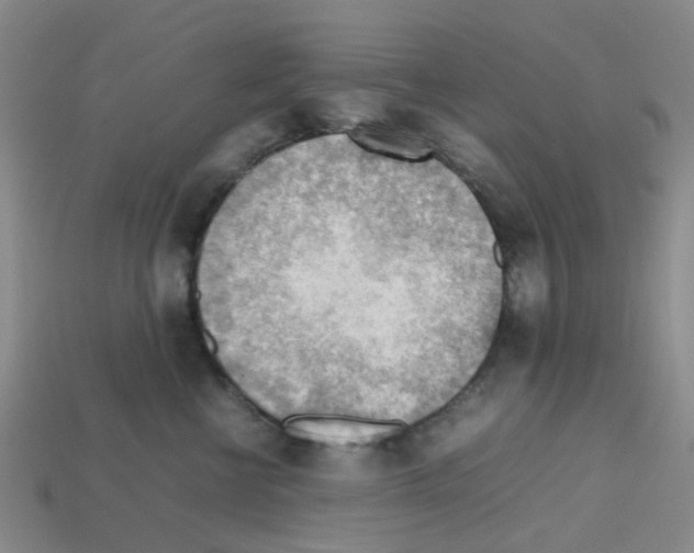 X0000112810570200910021143
