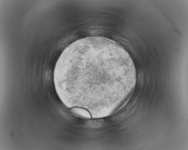 X0000112810571200910021143