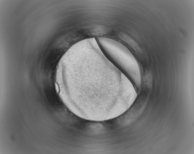 X0000112810572200910021143