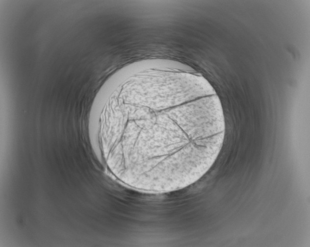 X0000112810576200910021143