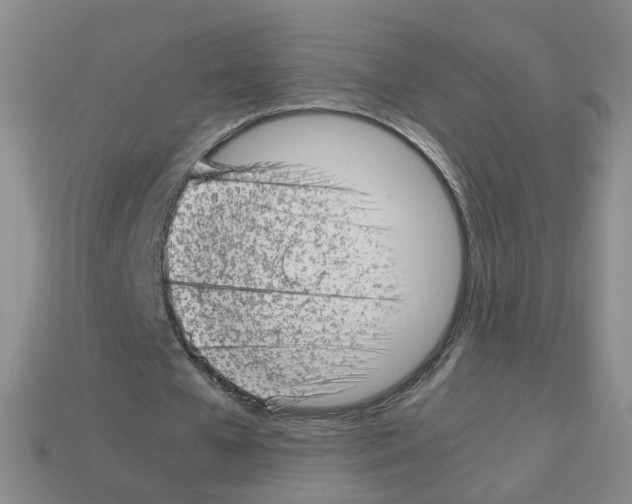 X0000112810577200910021142