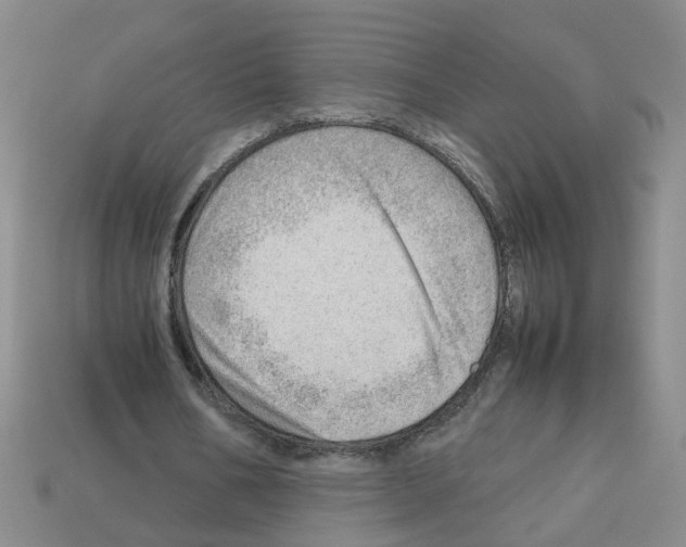 X0000112810578200910021142