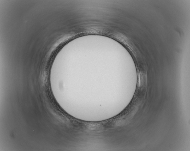 X0000112810579200910021142