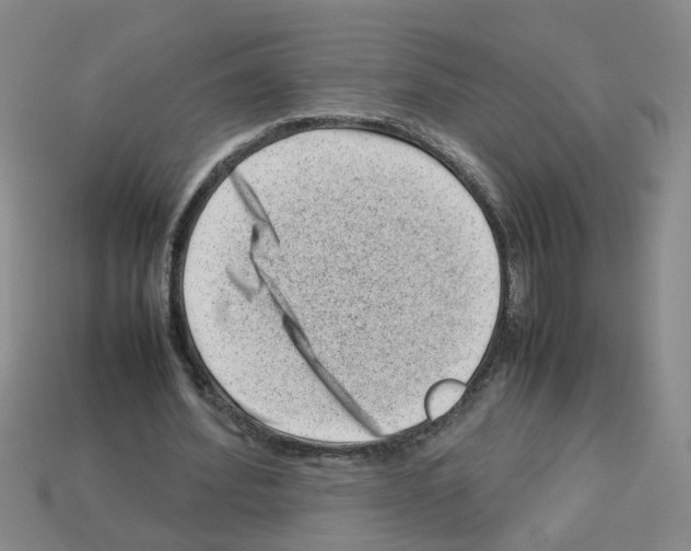 X0000112810580200910021142