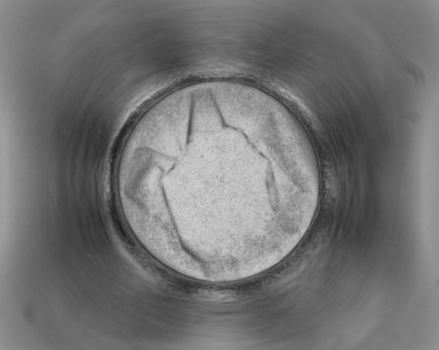 X0000112810582200910021142