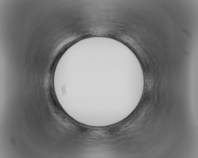X0000112810583200910021142