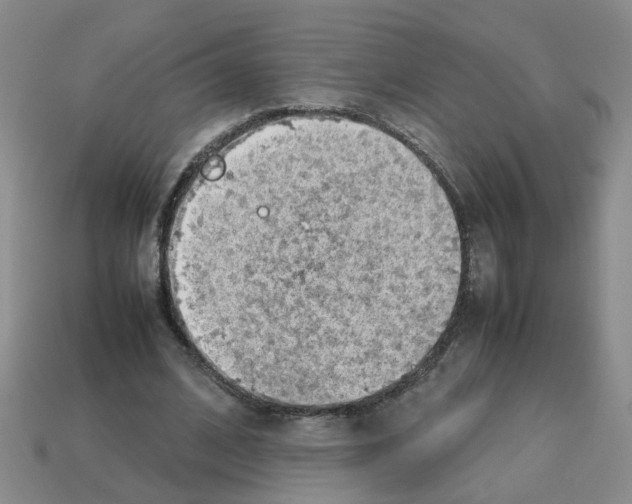 X0000112810584200910021142