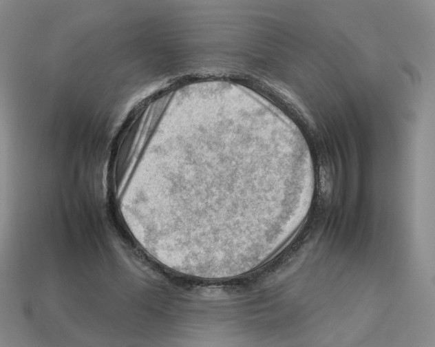 X0000112810588200910021142