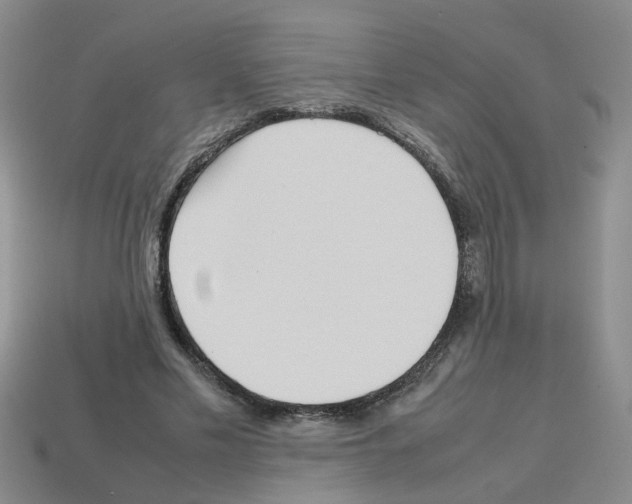 X0000112810589200910021142