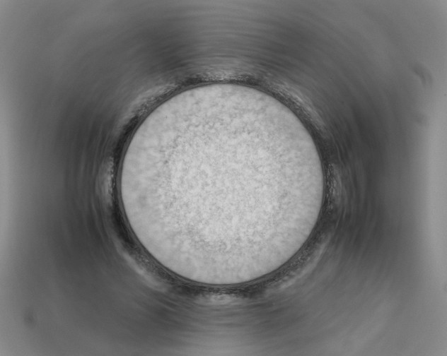 X0000112810590200910021142
