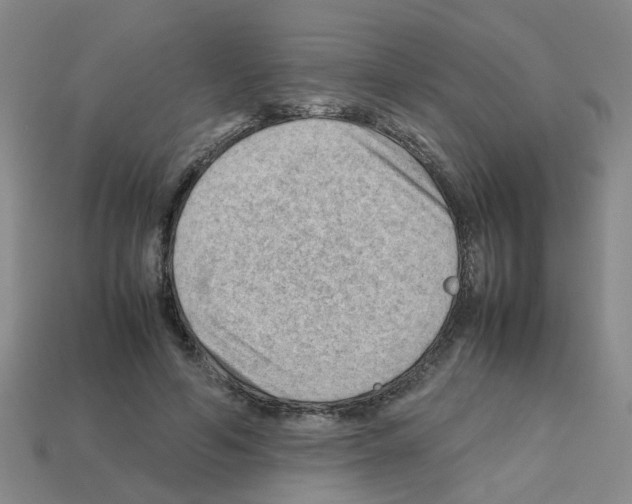 X0000112810594200910021142