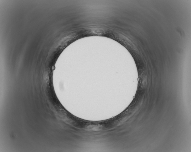X0000112810595200910021142