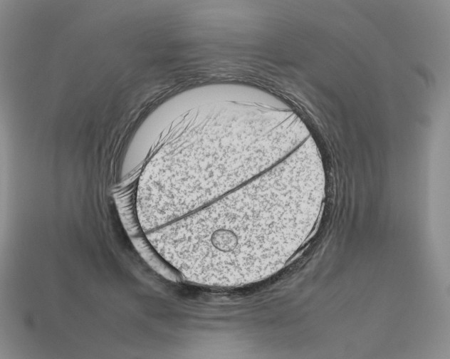 X0000112810597200910021142