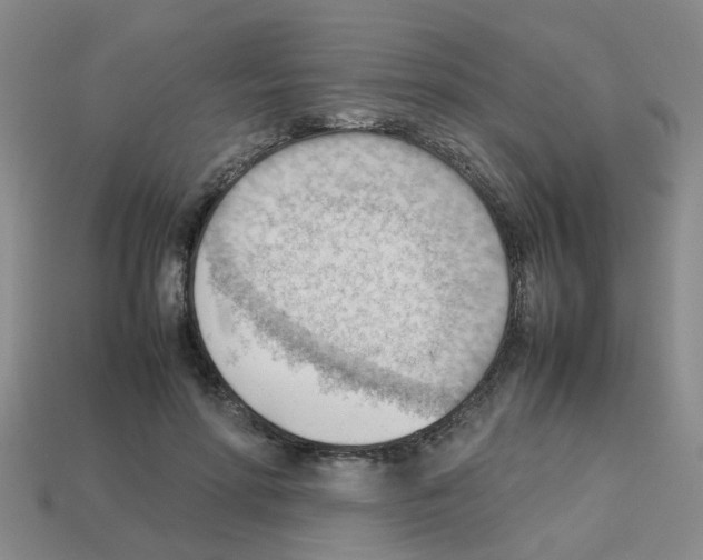 X0000112810598200910021142