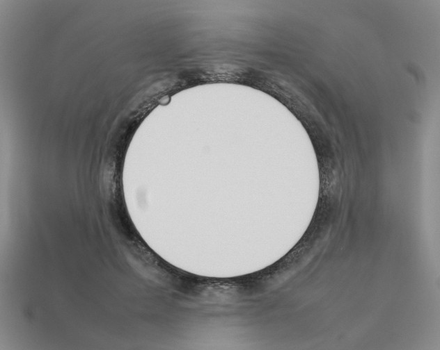X0000112810599200910021142