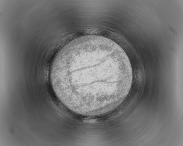 X0000112810602200910021142