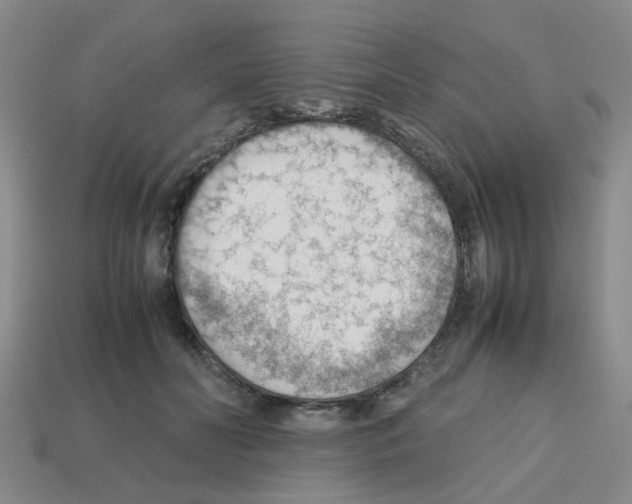 X0000112810606200910021142