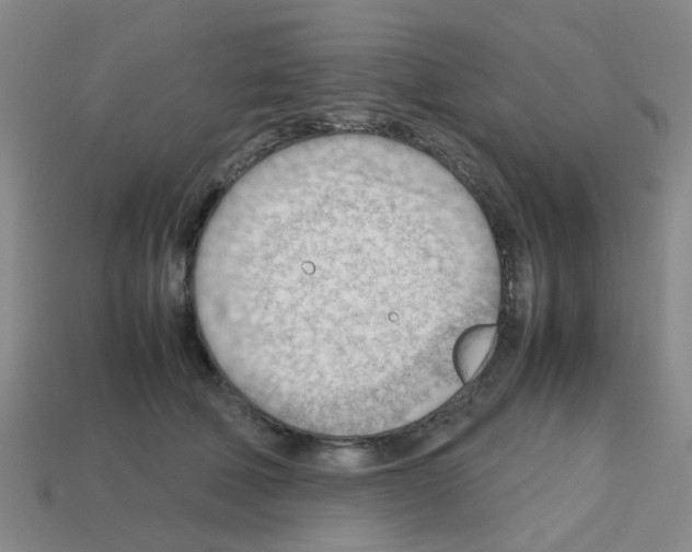 X0000112810610200910021142