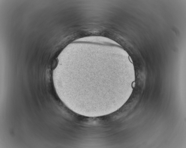 X0000112810612200910021142