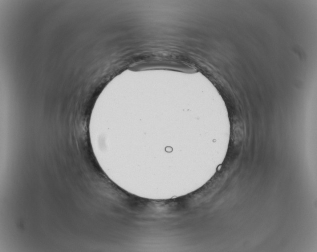 X0000112810613200910021142