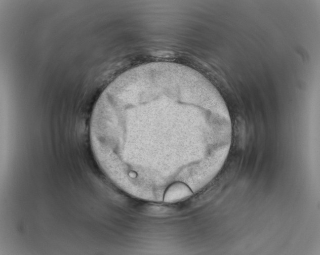 X0000112810614200910021142