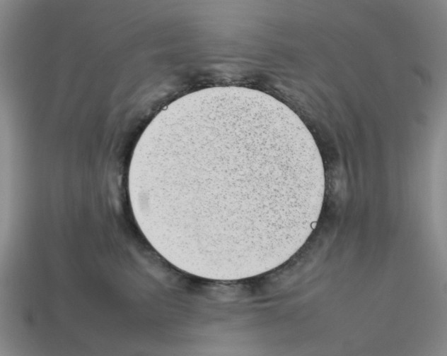 X0000112810615200910021142