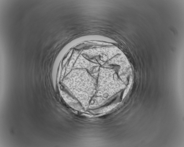 X0000112810617200910021142