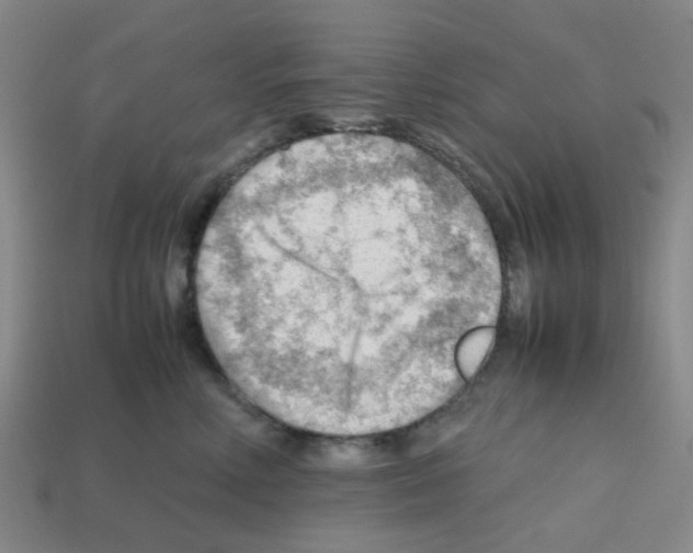 X0000112810618200910021142