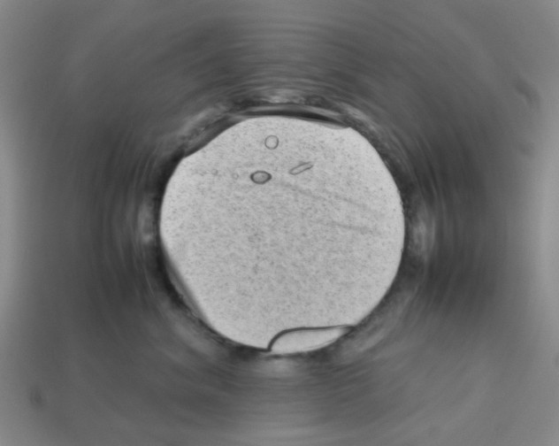 X0000112810620200910021142