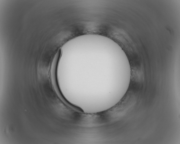 X0000112810621200910021142