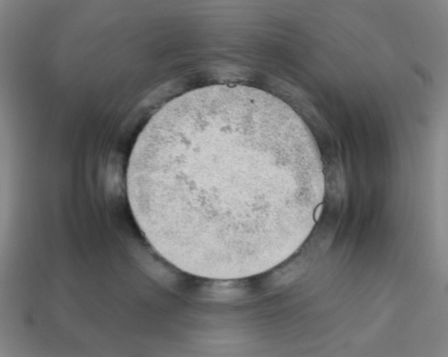X0000112810622200910021142